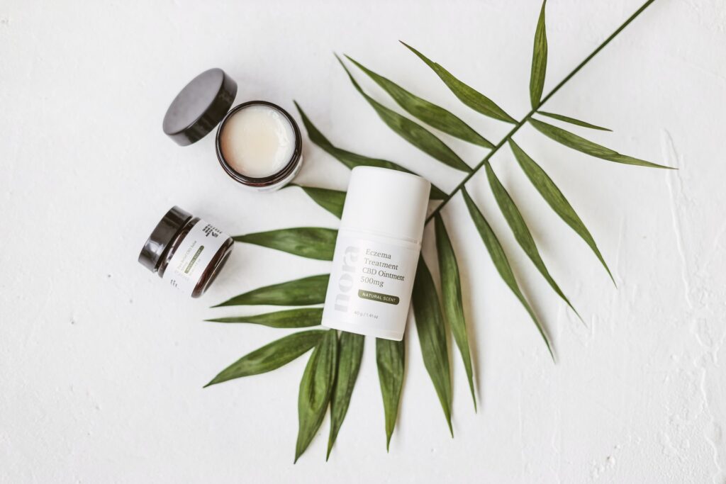 Do Amor pela Beleza ao Sucesso Financeiro: Como Ganhar Dinheiro com um Blog de Cosmética. Criar um blog de cosmética.