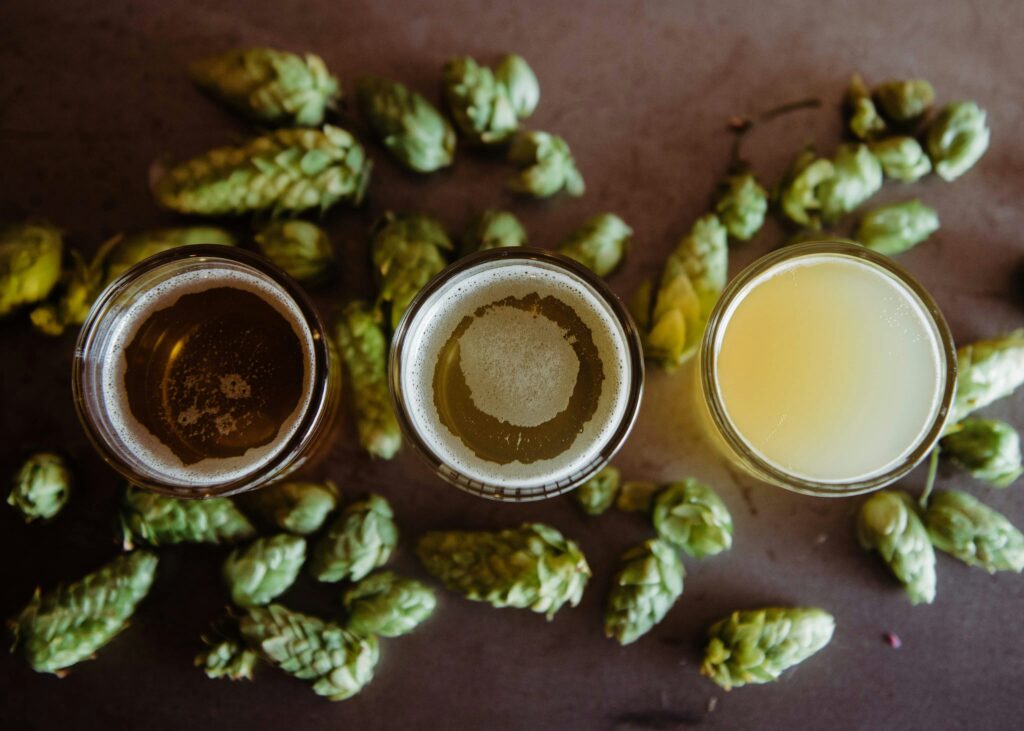Produção e Venda de Cerveja Artesanal